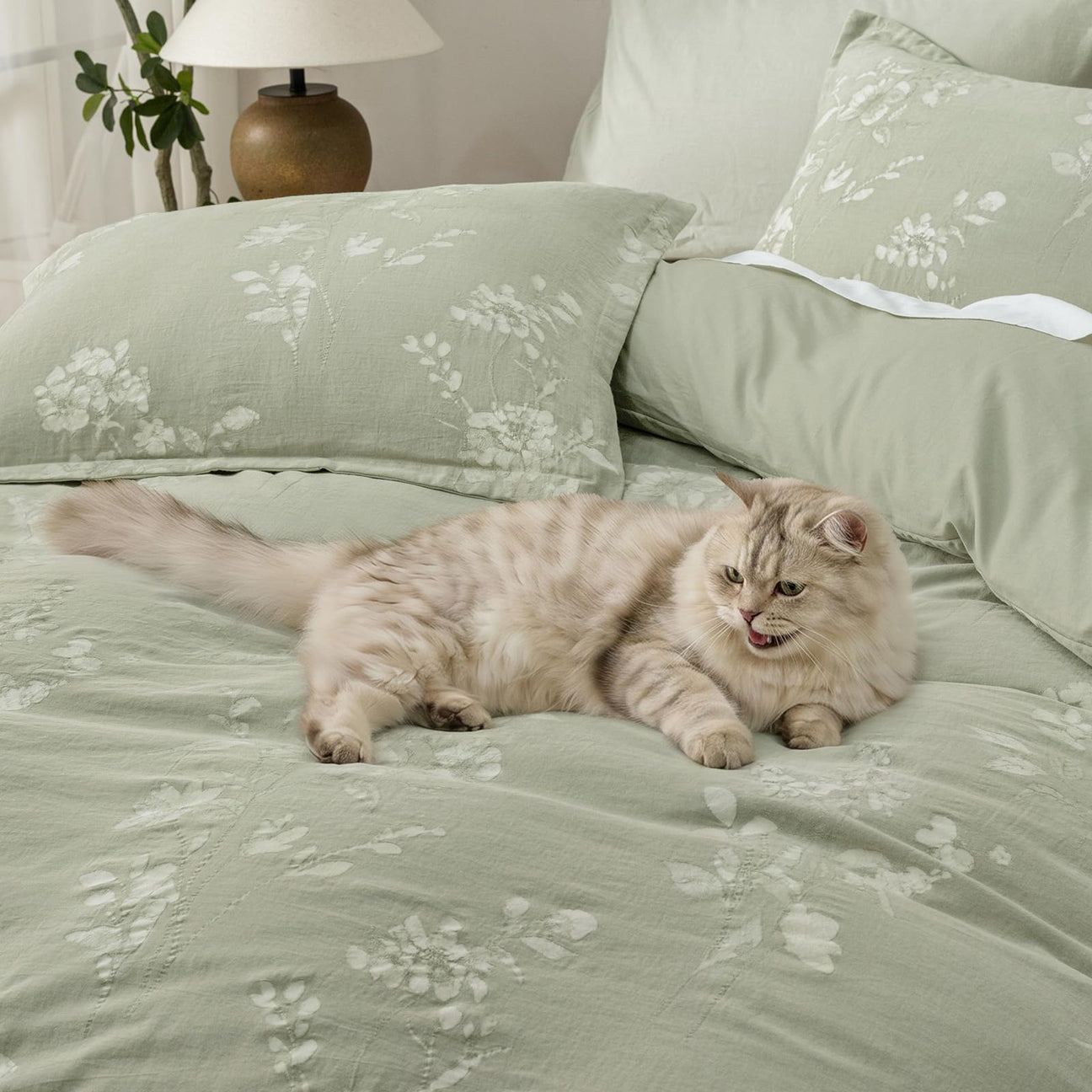 Pet-Friendly Duvet Cover Sets That Actually Last