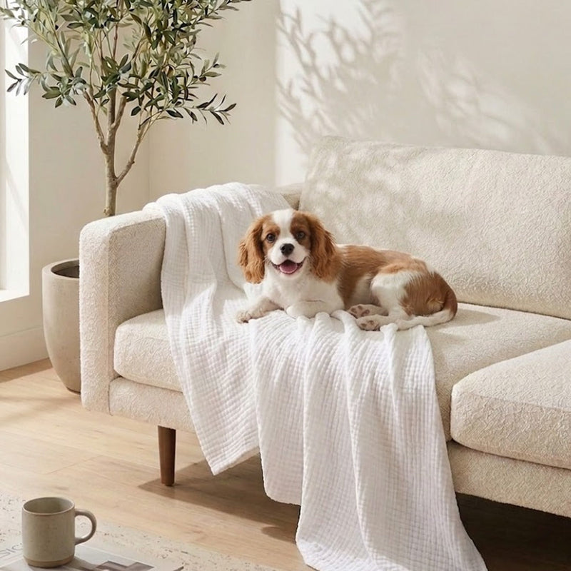 cooling blankets for dogs