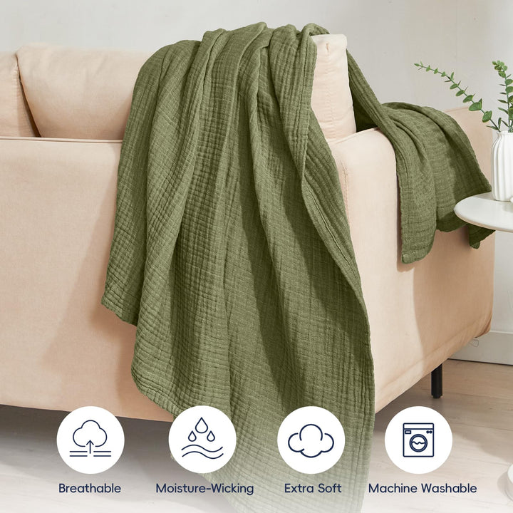 color_Olive_Green