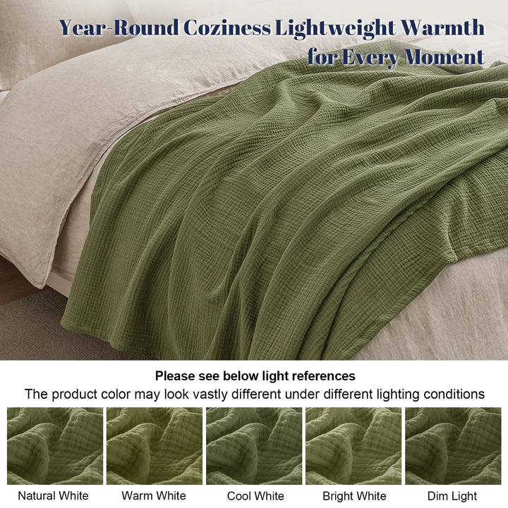 color_Olive_Green