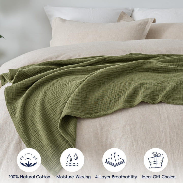 color_Olive_Green