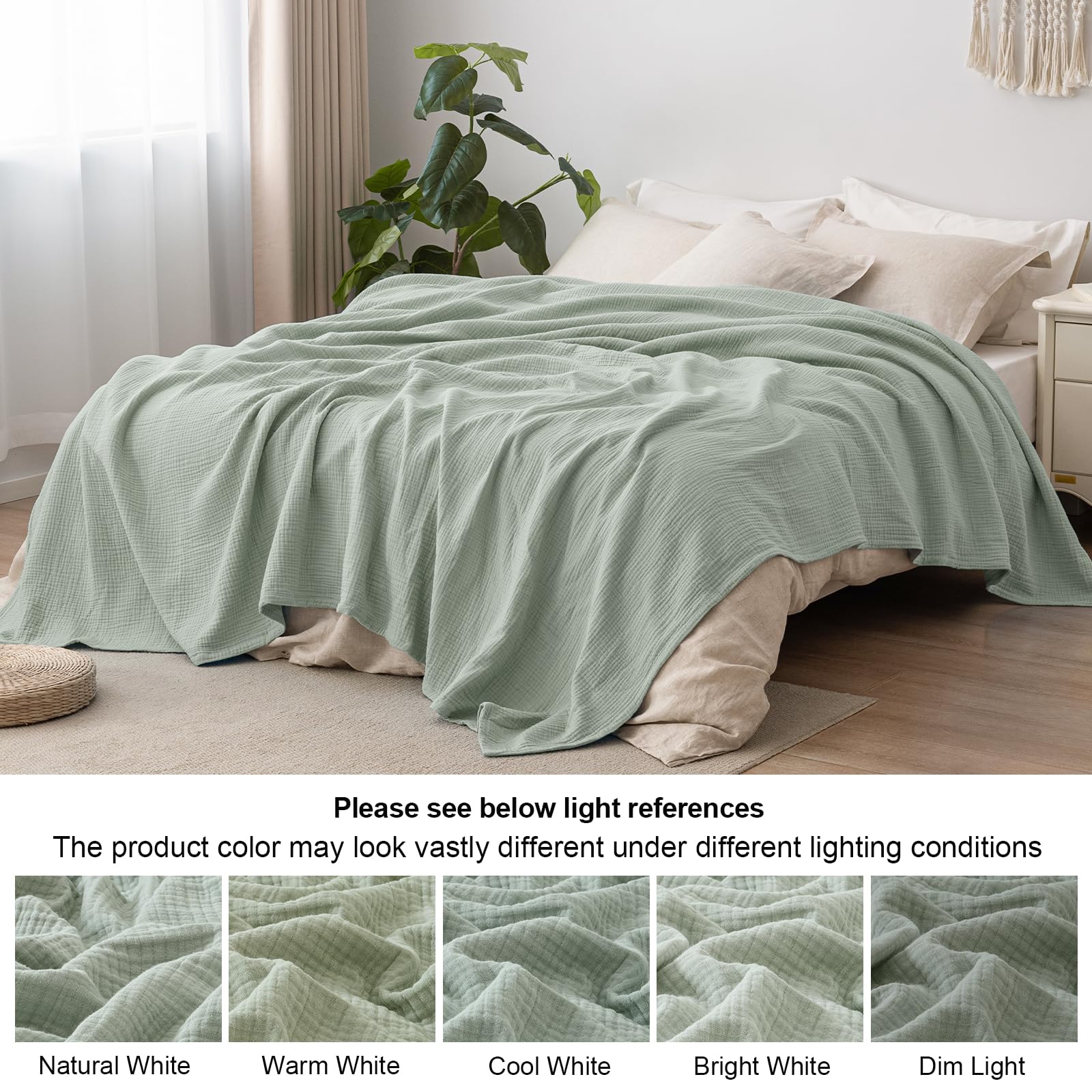color_Sage_Green