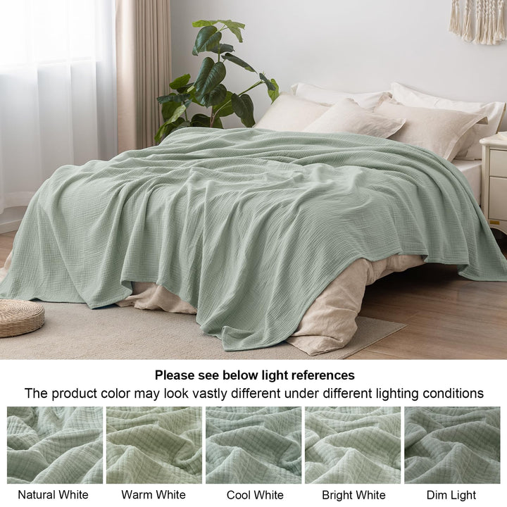 color_Sage_Green