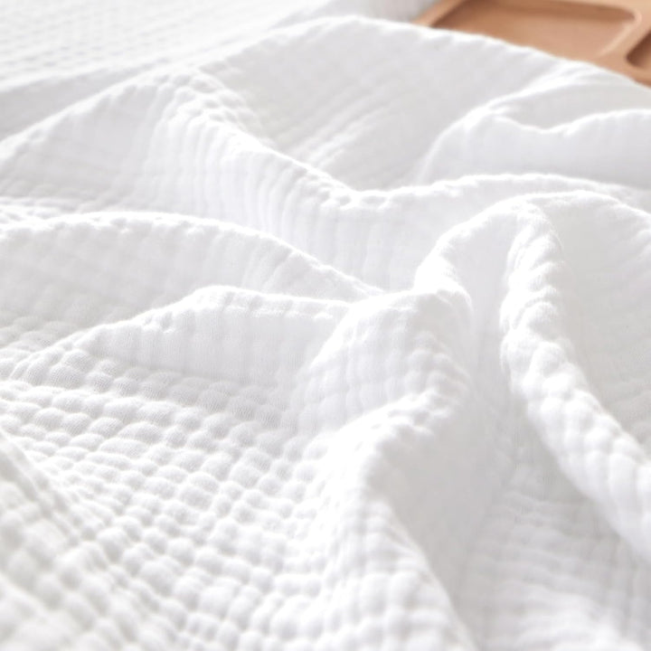 color_White