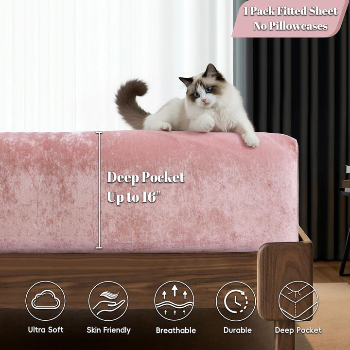 color_Pink