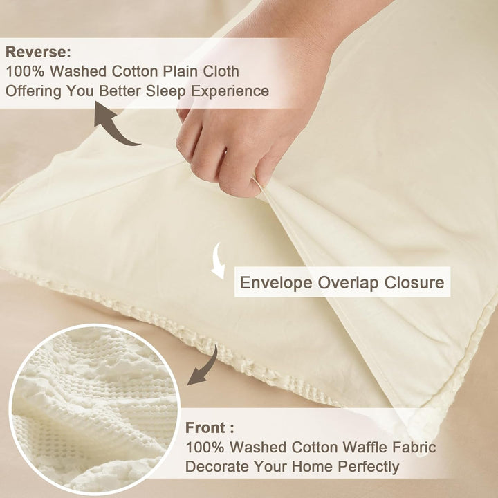color_Canmoli Cream 30x20