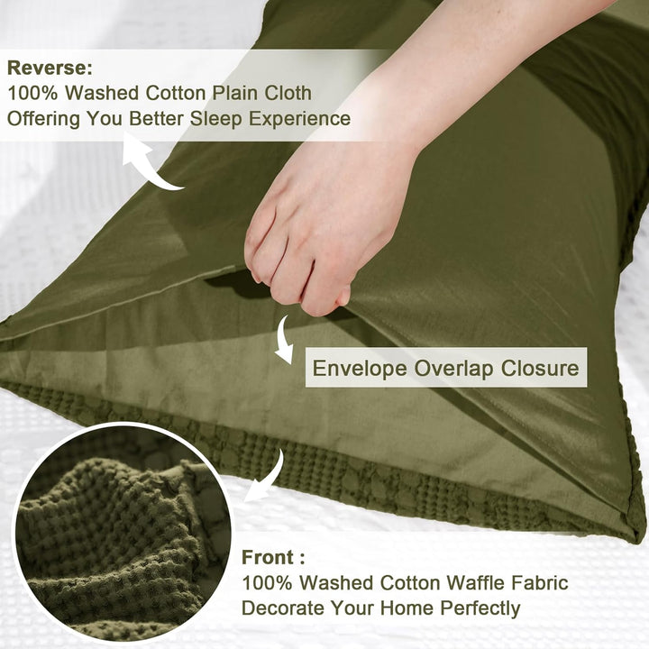 color_Capulet_Olive