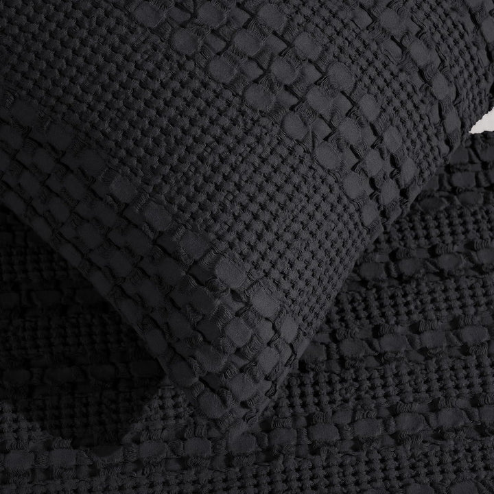 color_Black 54x20