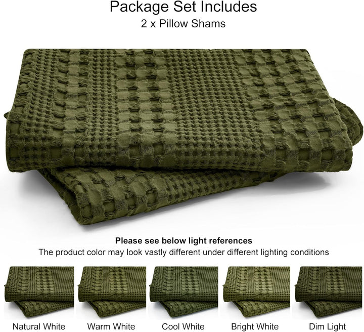 color_Capulet_Olive