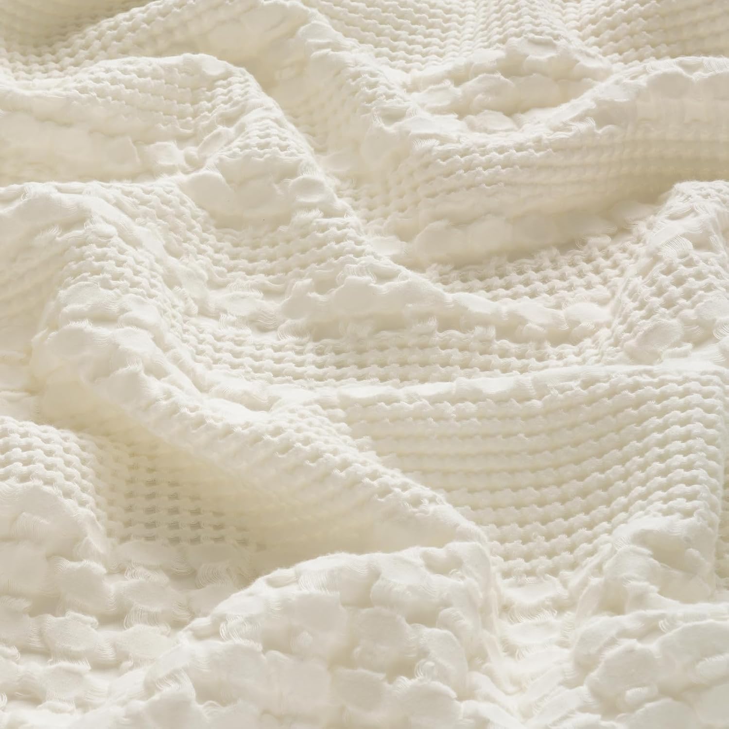 color_Ivory 36x20
