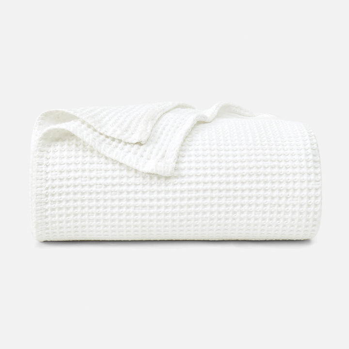 color_Cream