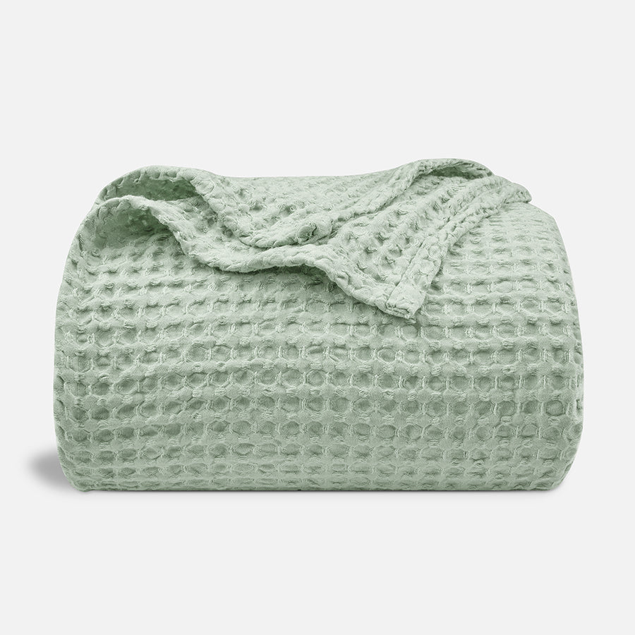 color_Sage_Green_Mint_Green