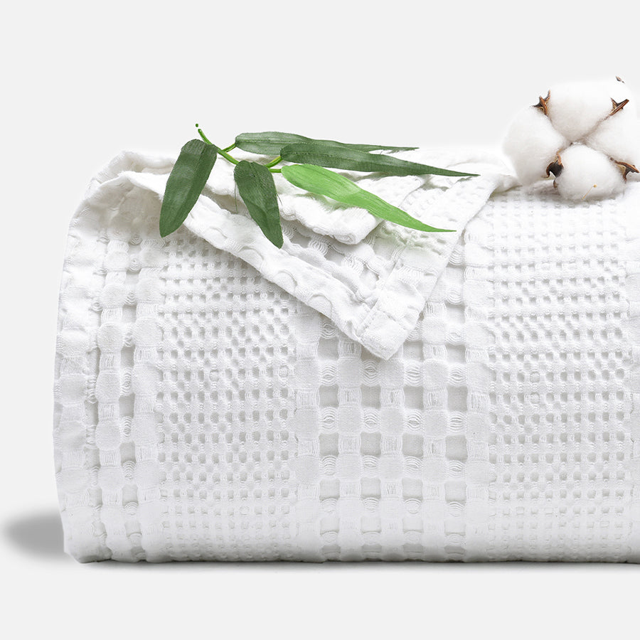 color_White