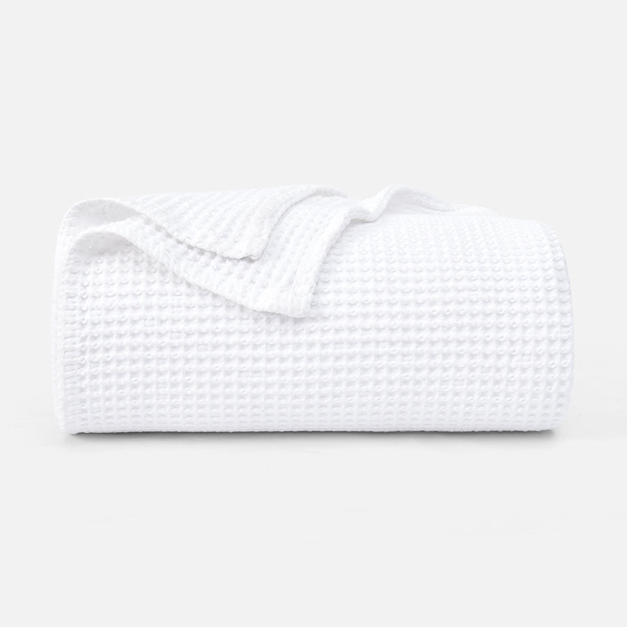color_White