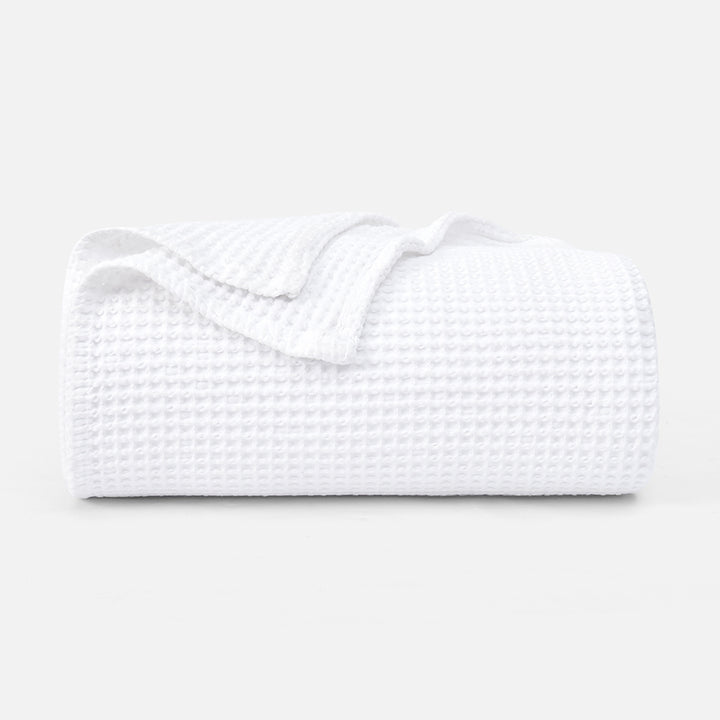 color_White