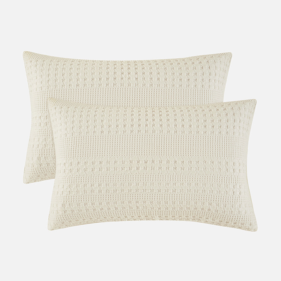 color_Ivory