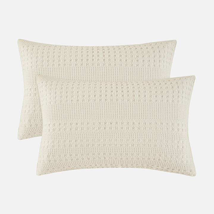 color_Ivory