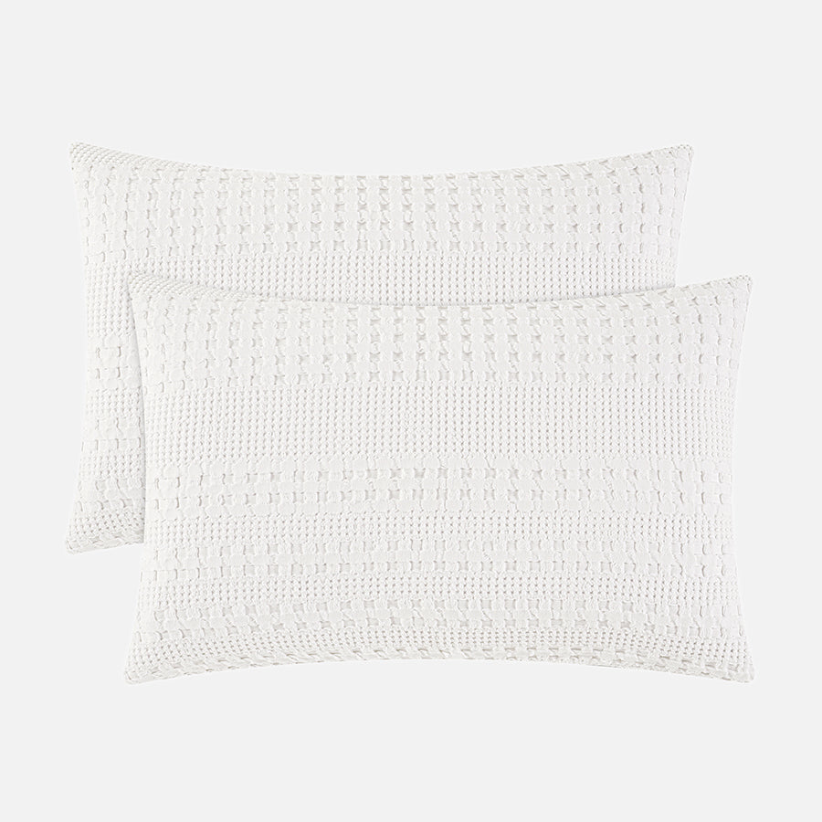 color_White