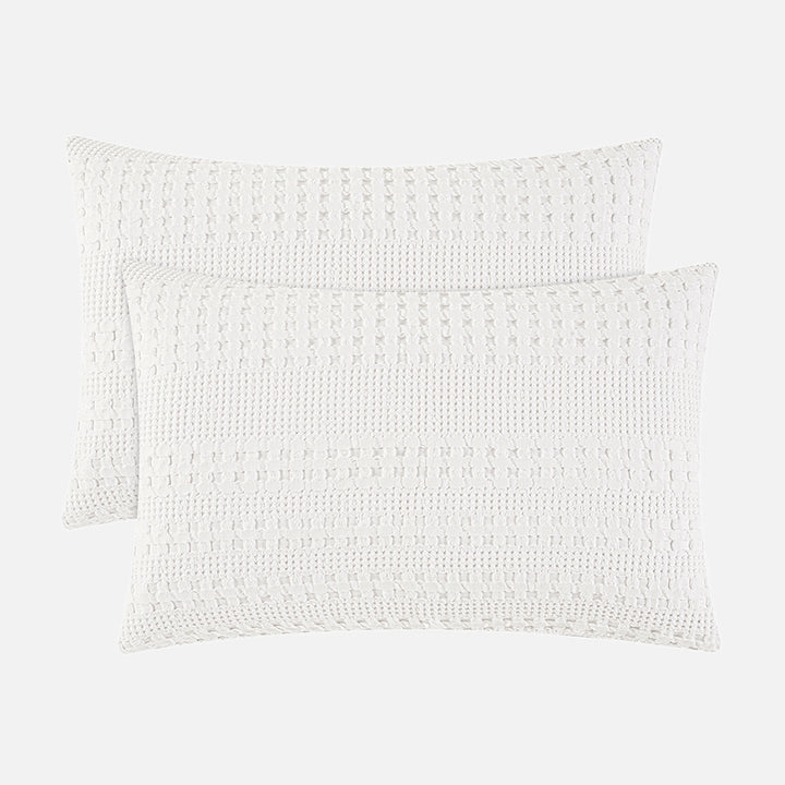 color_White