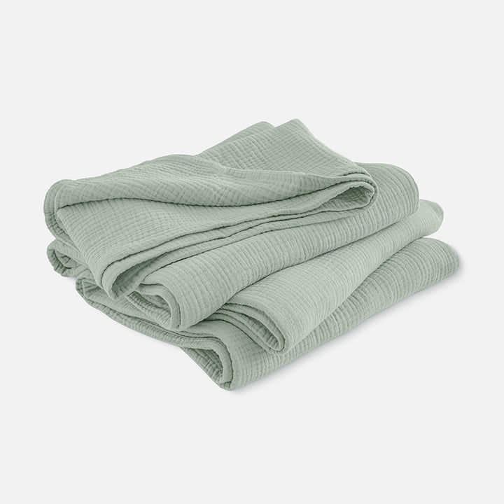 color_Sage_Green