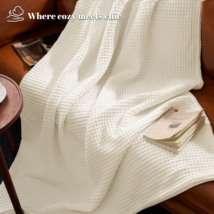 color_Coconut_White