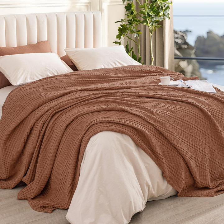 color_Terracotta