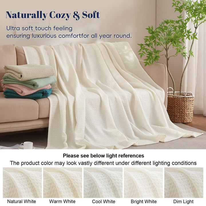 color_Coconut White