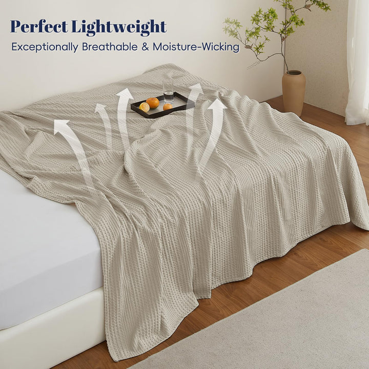 color_Light Taupe
