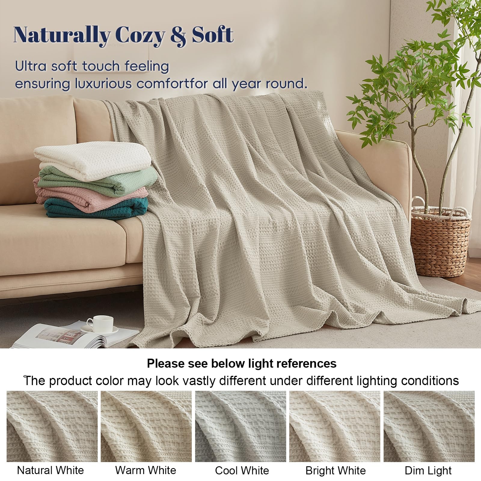 color_Light Taupe