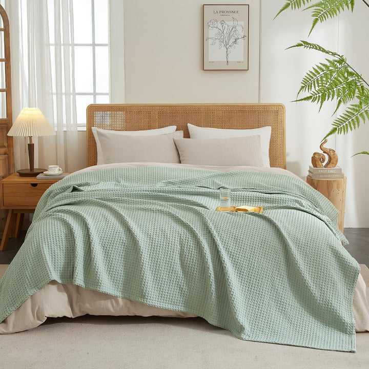 color_Sage_Green_Mint_Green