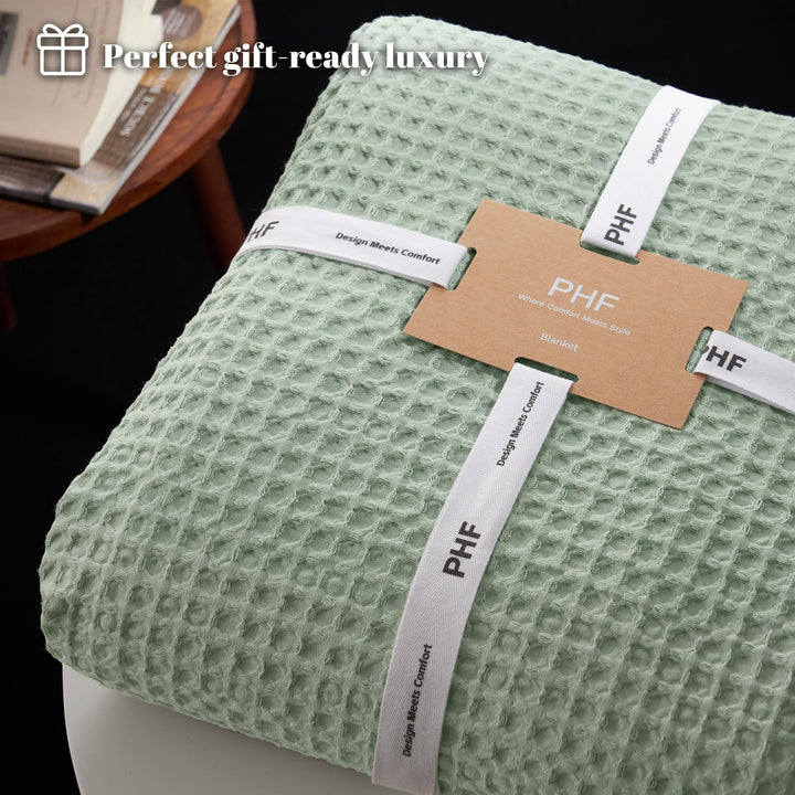 color_Sage_Green_Mint_Green
