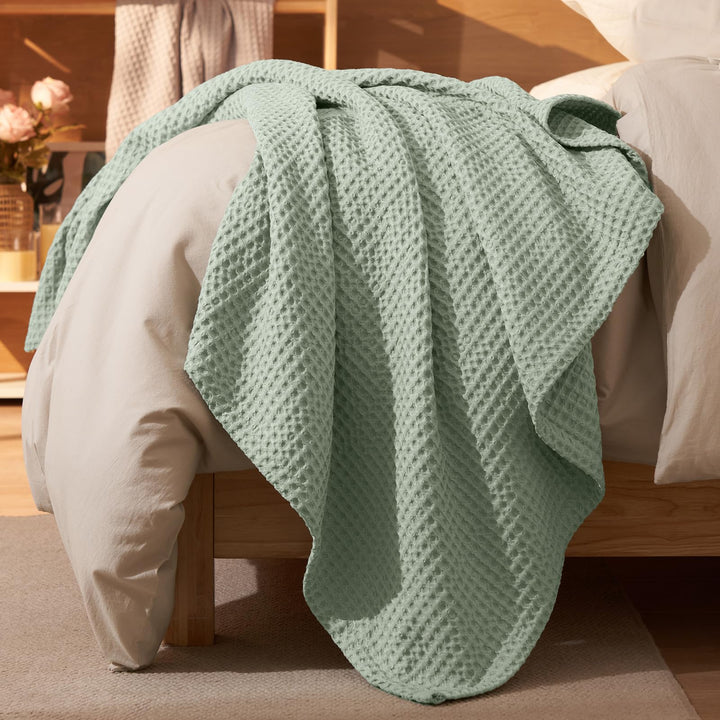 color_Sage_Green_Mint_Green