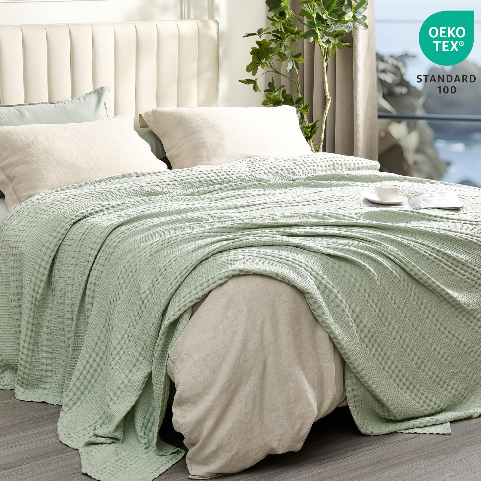 color_Mint